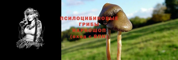 гашик Армянск