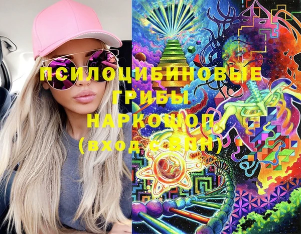 ПСИЛОЦИБИНОВЫЕ ГРИБЫ Арсеньев