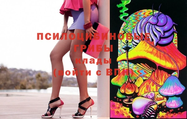 ПСИЛОЦИБИНОВЫЕ ГРИБЫ Арсеньев