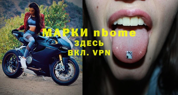 трава Новозыбков