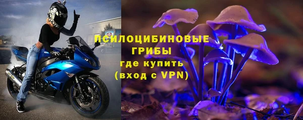 ПСИЛОЦИБИНОВЫЕ ГРИБЫ Арсеньев