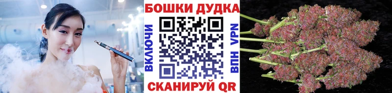 KRAKEN tor  Печоры  Каннабис планчик 